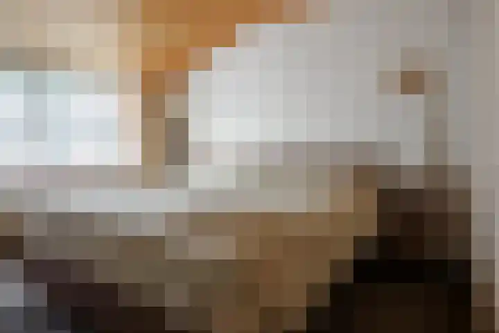 Plasdijk 20 Markelo thumbnail 16