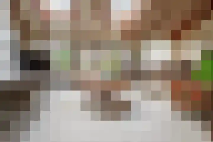 Plasdijk 20 Markelo thumbnail 17
