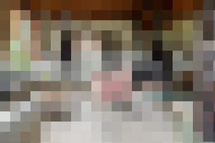 Plasdijk 20 Markelo thumbnail 19