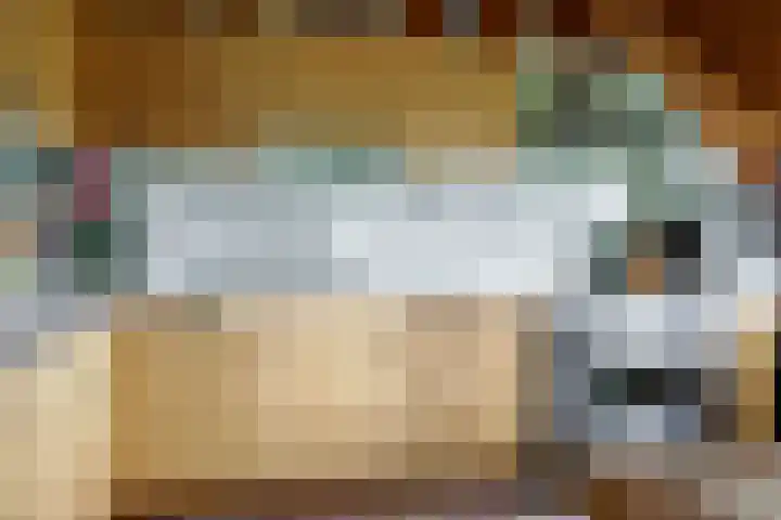 Plasdijk 20 Markelo thumbnail 21