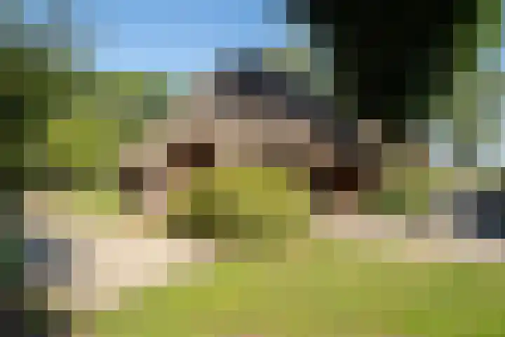 Plasdijk 20 Markelo thumbnail 24