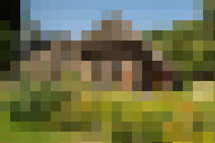 Plasdijk 20 Markelo thumbnail 25