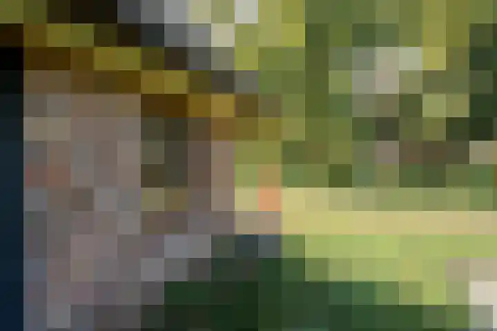 Plasdijk 20 Markelo thumbnail 26
