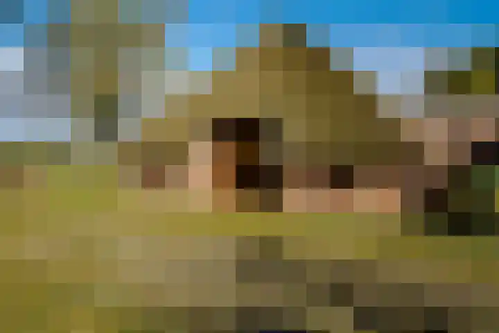 Plasdijk 20 Markelo thumbnail 28