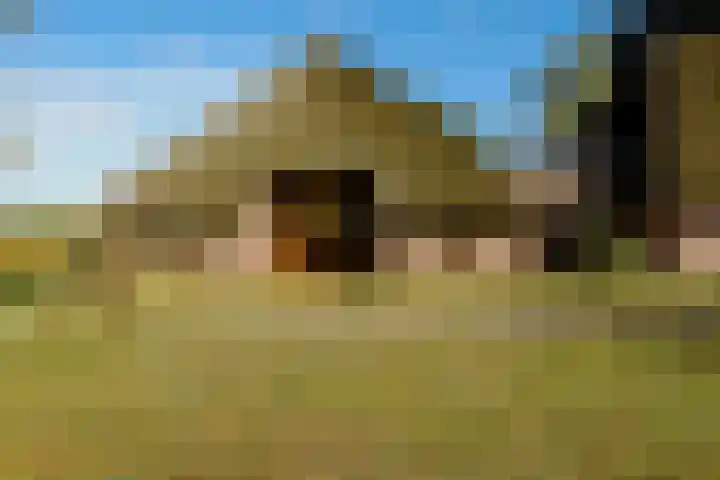 Plasdijk 20 Markelo thumbnail 29