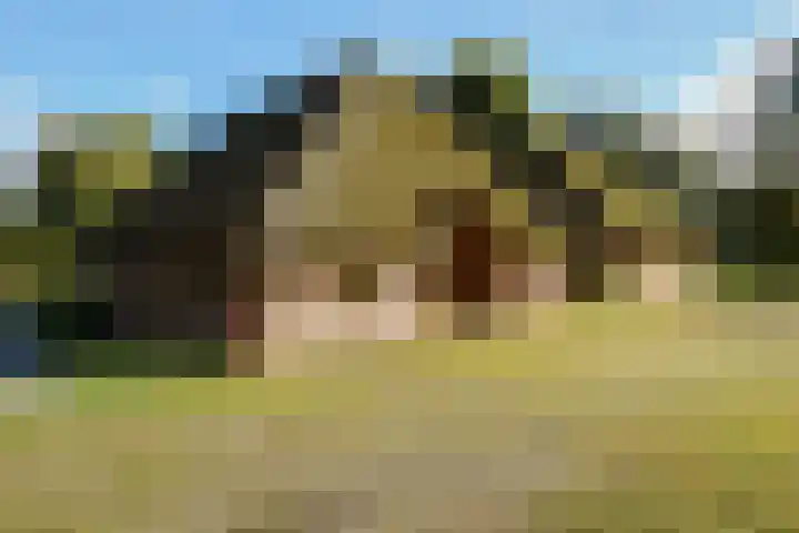 Plasdijk 20 Markelo thumbnail 30