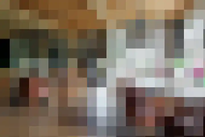 Plasdijk 20 Markelo thumbnail 40