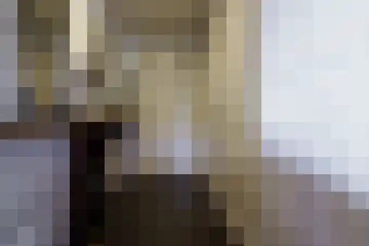 Plasdijk 20 Markelo thumbnail 42