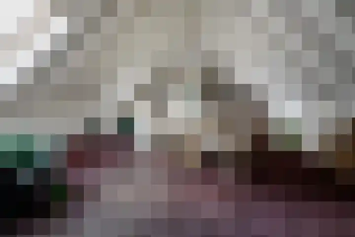Plasdijk 20 Markelo thumbnail 43