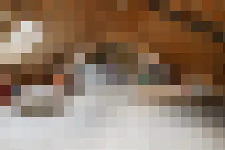 Plasdijk 20 Markelo thumbnail 44
