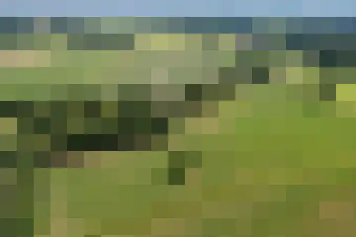 Plasdijk 20 Markelo thumbnail 5