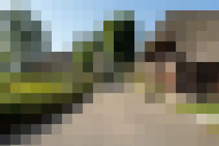 Plasdijk 20 Markelo thumbnail 6