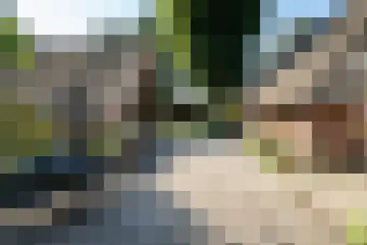 Plasdijk 20 Markelo thumbnail 7