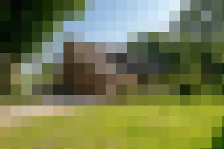Plasdijk 20 Markelo thumbnail 9