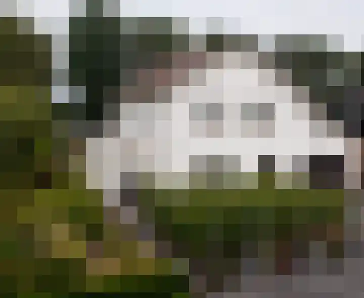 Plasdijk 33 Markelo
