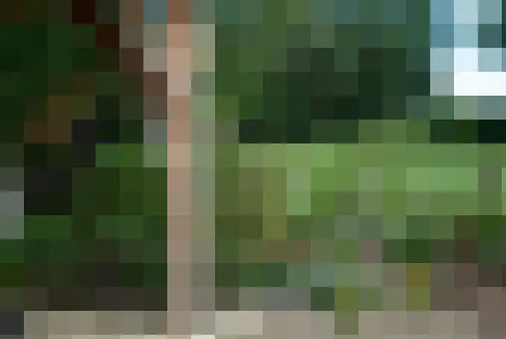 Plasdijk 33 Markelo thumbnail 10