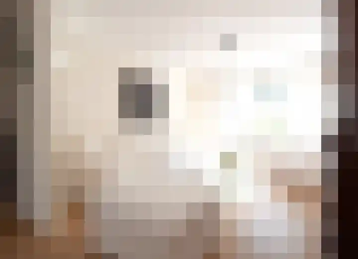 Plasdijk 33 Markelo thumbnail 16
