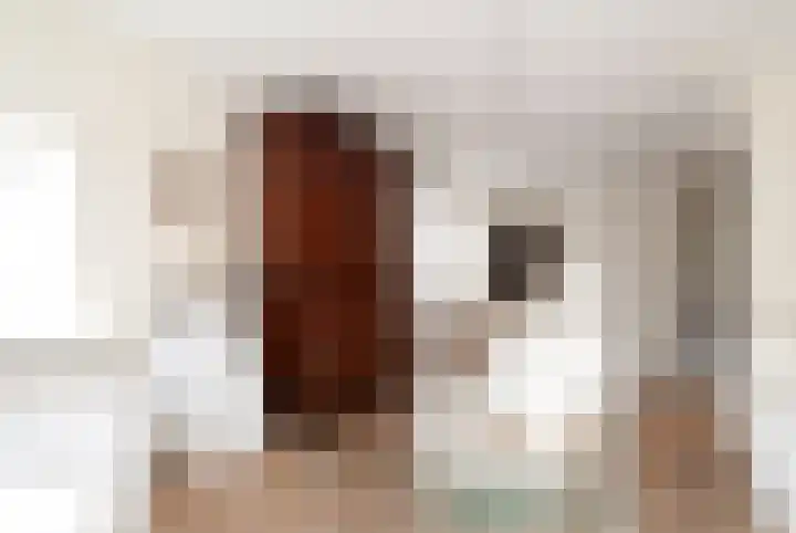 Plasdijk 33 Markelo thumbnail 18