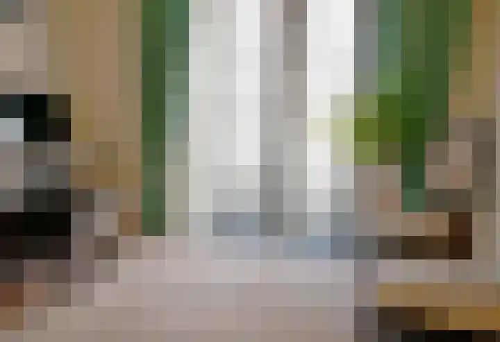 Plasdijk 33 Markelo thumbnail 22