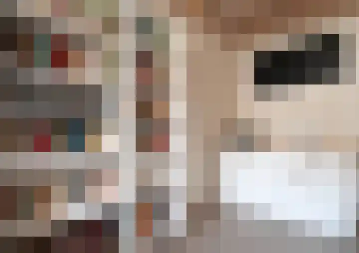 Plasdijk 33 Markelo thumbnail 27