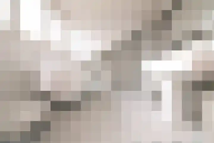 Plasdijk 33 Markelo thumbnail 30