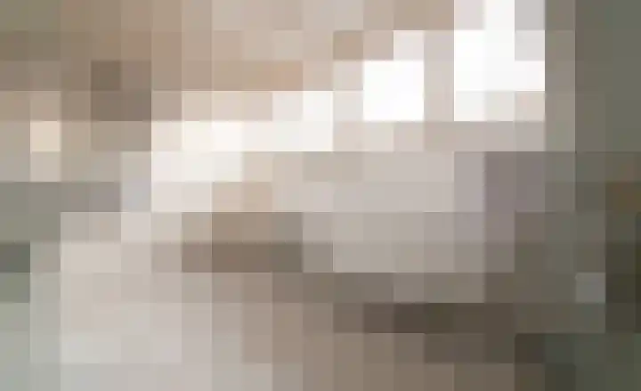 Plasdijk 33 Markelo thumbnail 31