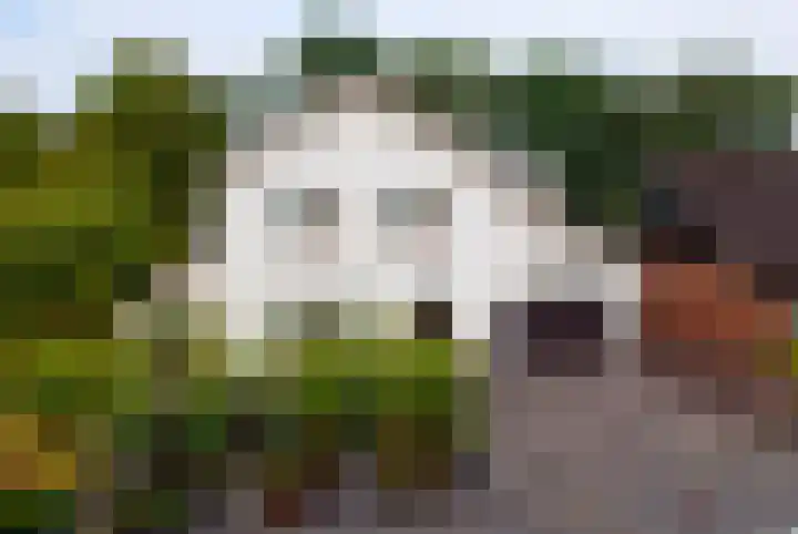 Plasdijk 33 Markelo thumbnail 35