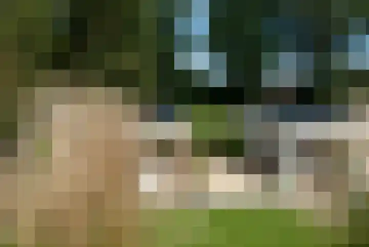 Plasdijk 33 Markelo thumbnail 4