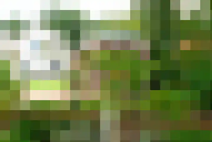 Plasdijk 33 Markelo thumbnail 40