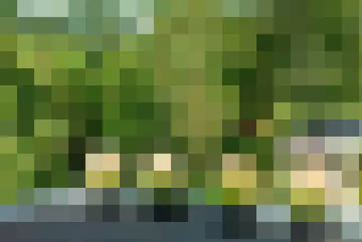 Plasdijk 33 Markelo thumbnail 41