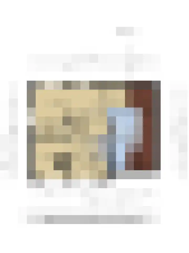 Plasdijk 33 Markelo thumbnail 43