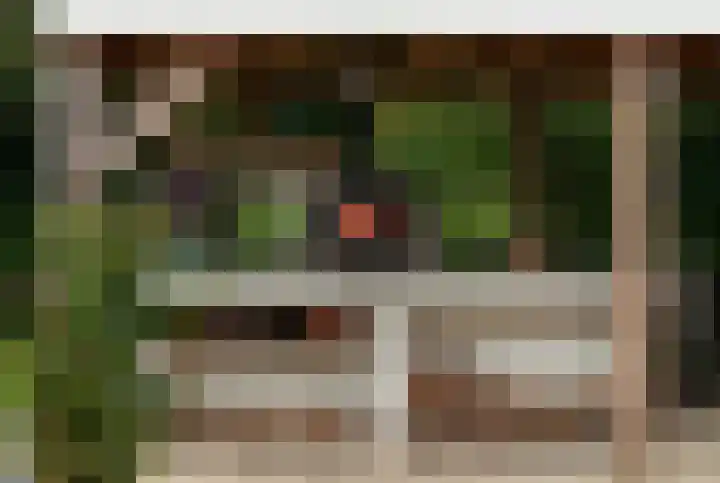 Plasdijk 33 Markelo thumbnail 8