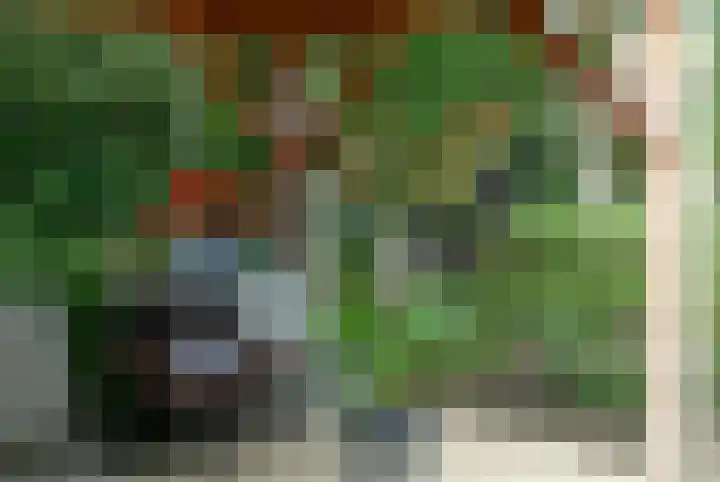 Plasdijk 33 Markelo thumbnail 9