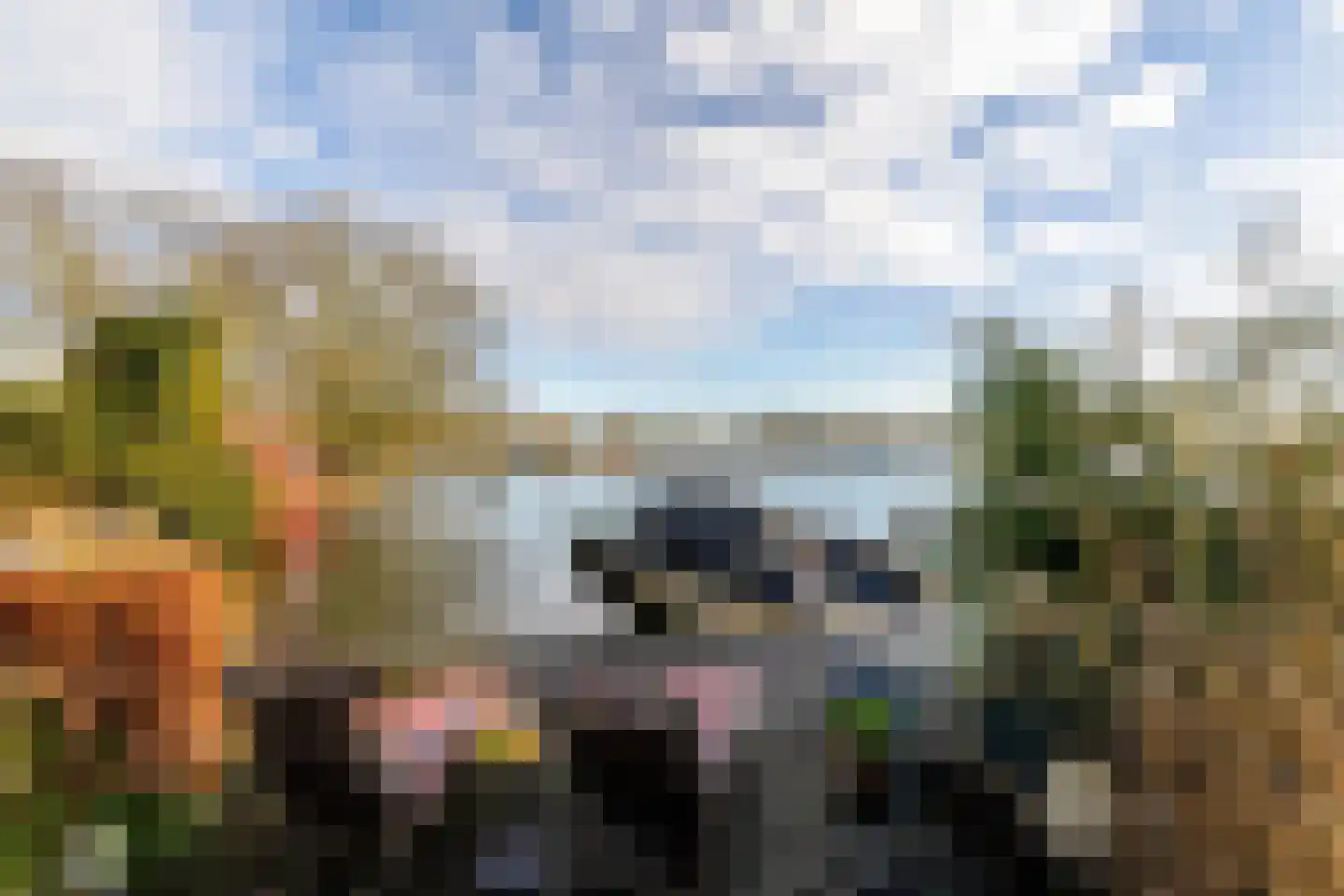 Plasoord 5 Rotterdam thumbnail 12