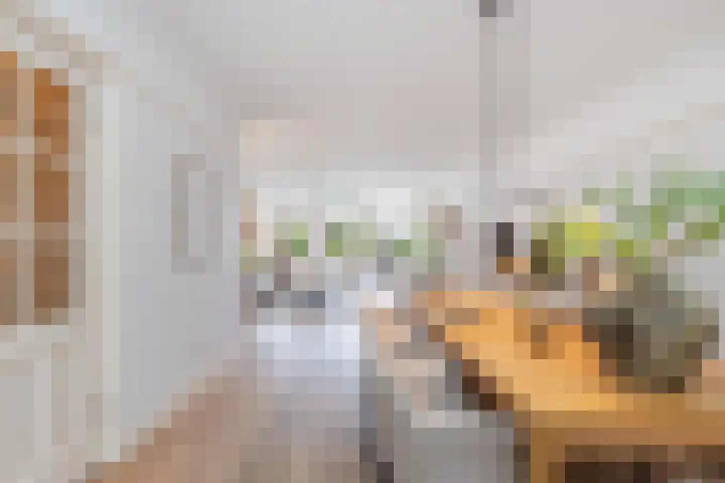 Plasoord 5 Rotterdam thumbnail 4
