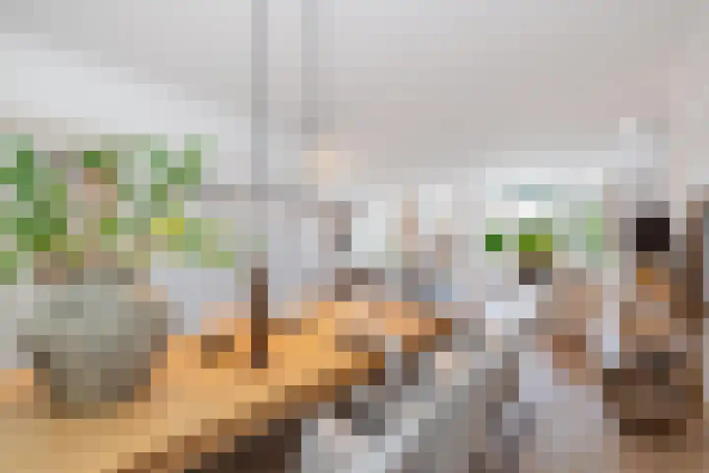 Plasoord 5 Rotterdam thumbnail 5