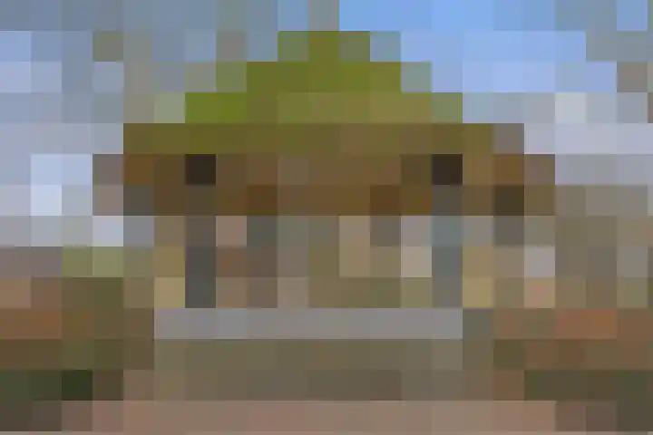 Plasoord 5 Rotterdam thumbnail 6