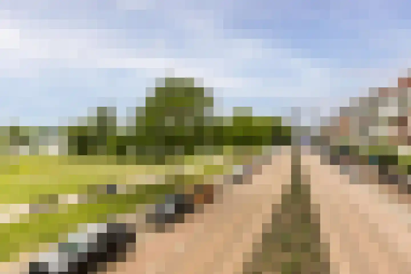 Plasoord 5 Rotterdam thumbnail 72