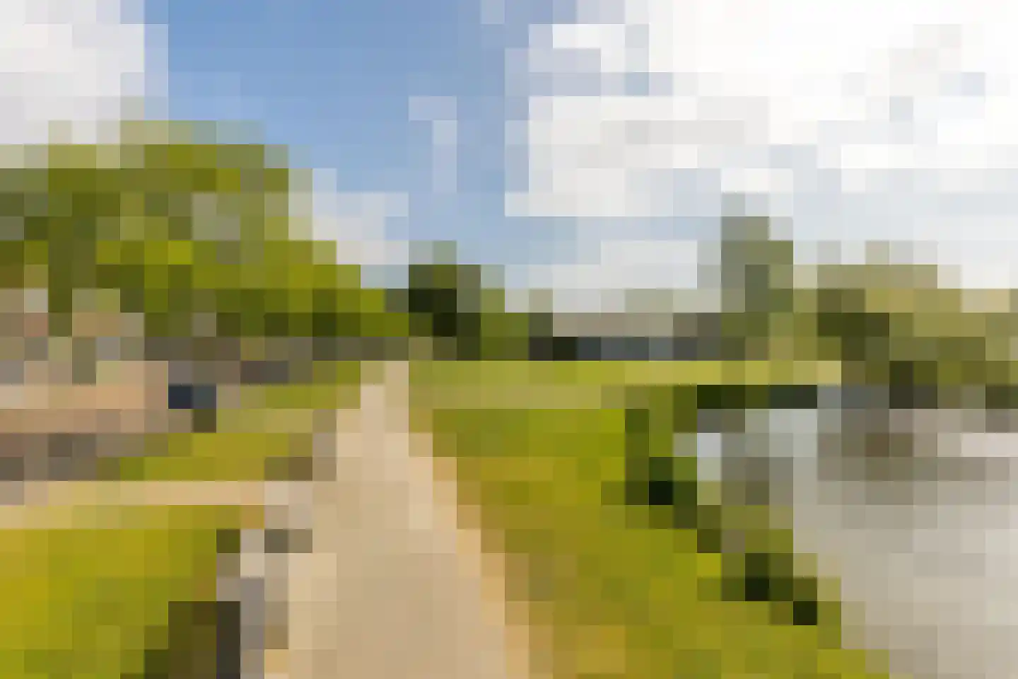 Plasoord 5 Rotterdam thumbnail 73