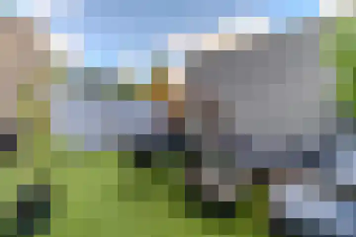 Plaspoelkade 20 Leidschendam thumbnail 13