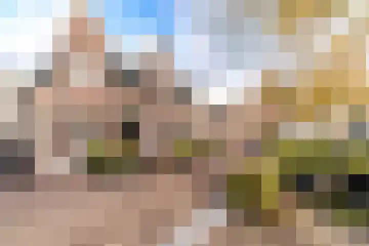 Plaspoelkade 20 Leidschendam thumbnail 30