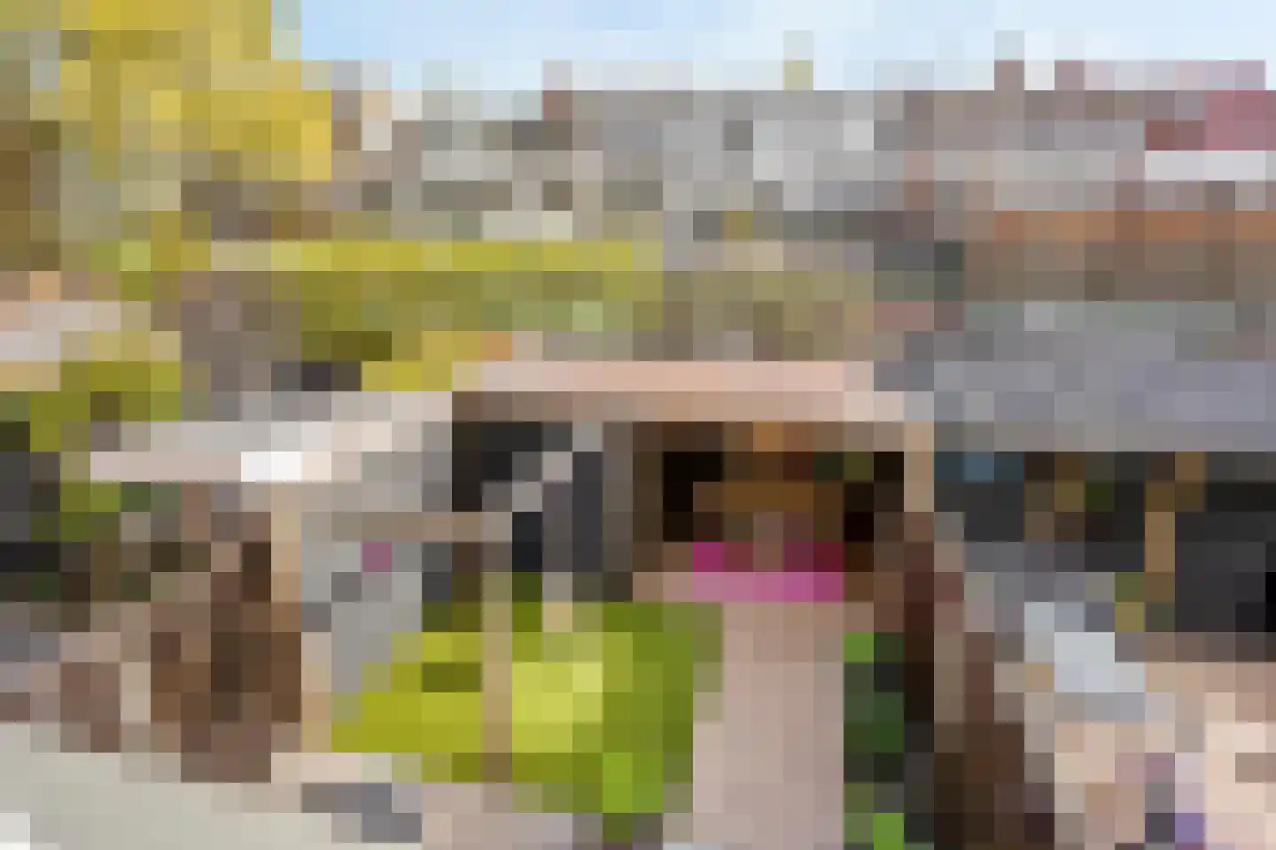 Plaspoelstraat 51 Leidschendam thumbnail 24