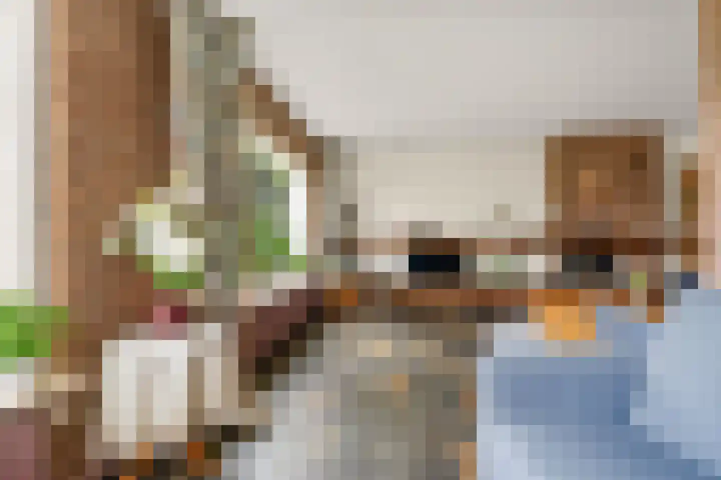 Plasweg 27 A Waddinxveen thumbnail 21