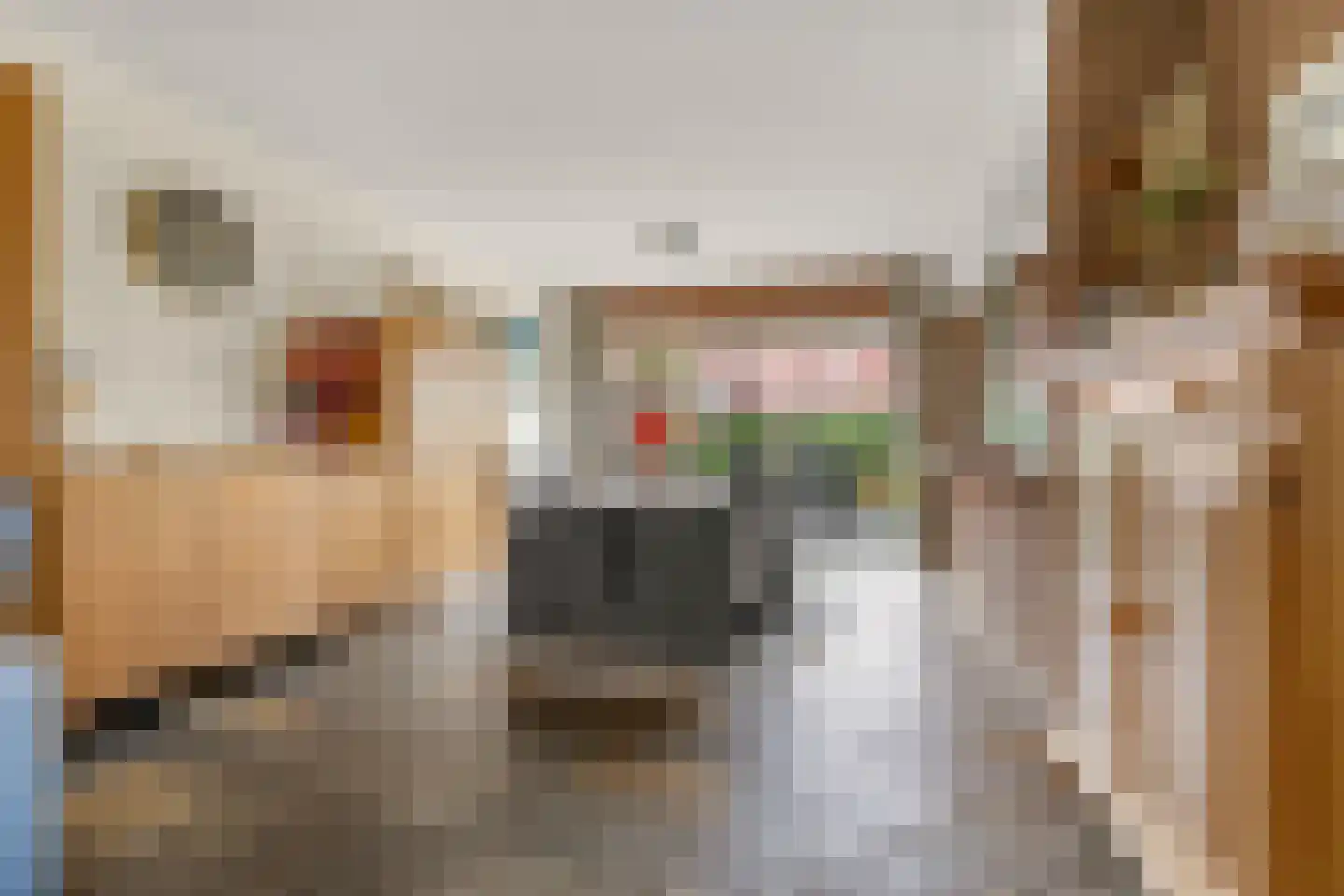 Plasweg 27 A Waddinxveen thumbnail 23