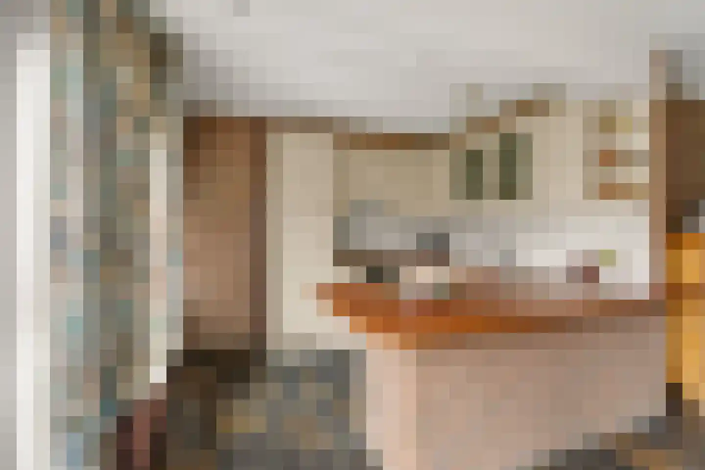 Plasweg 27 A Waddinxveen thumbnail 25