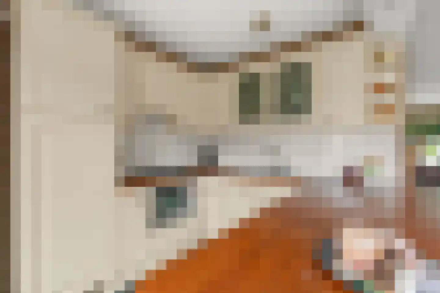 Plasweg 27 A Waddinxveen thumbnail 26