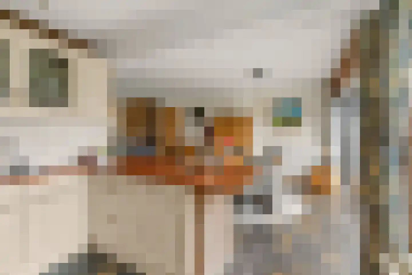 Plasweg 27 A Waddinxveen thumbnail 28