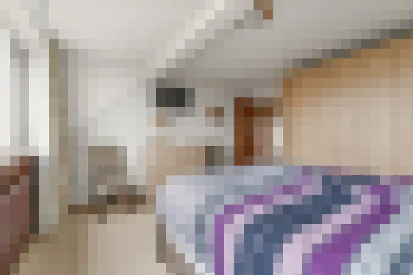 Plasweg 27 A Waddinxveen thumbnail 41