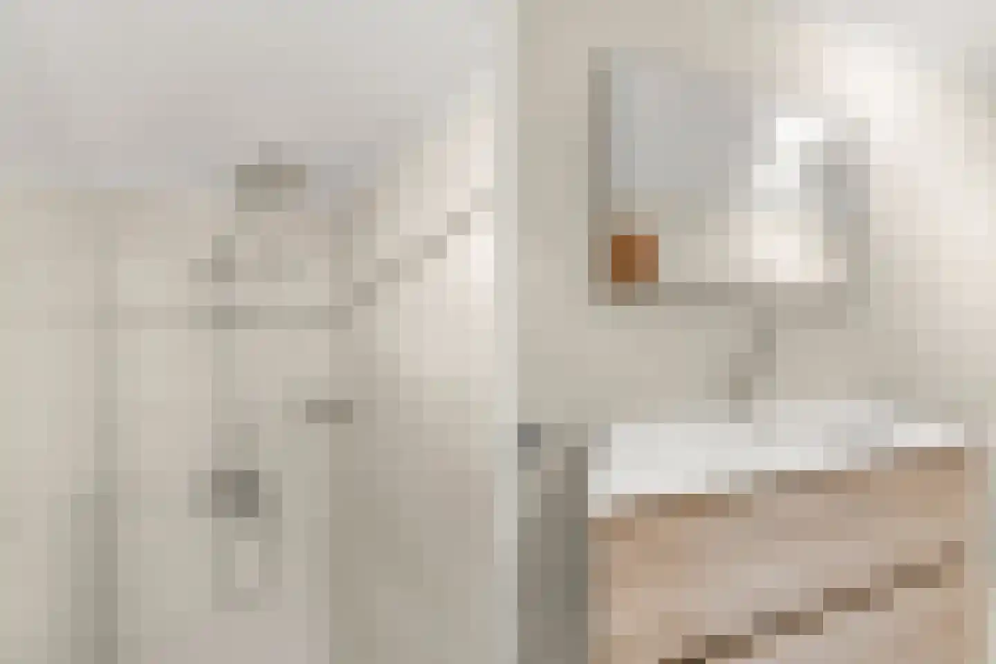 Plasweg 27 A Waddinxveen thumbnail 43