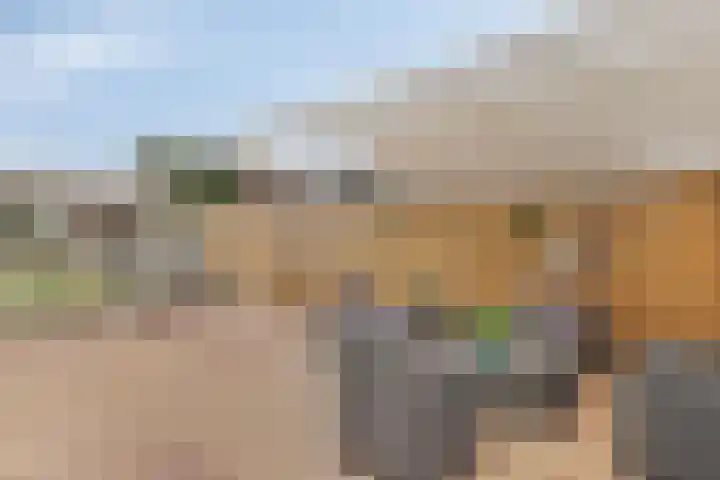 Plasweg 27 IJsselmuiden thumbnail 35
